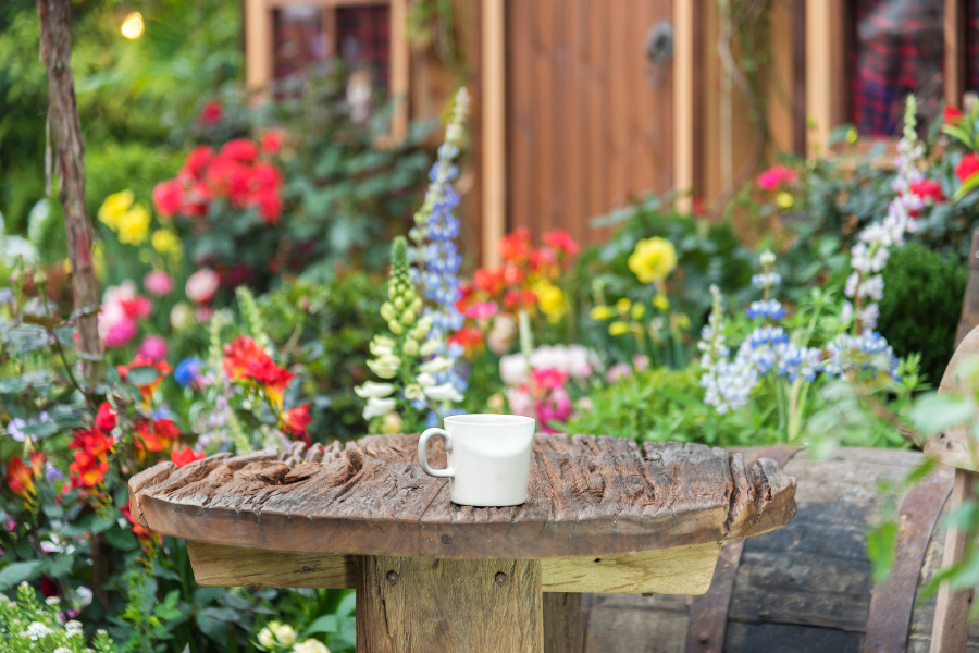 Spring cleaning your garden in your backyard.