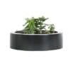 York Low 12″ Round Small Planter in Black