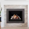 G4 Direct Vent Gas Fireplace Insert w/ AutoFire™ and Ceramic Engine - Natural Gas - Image 8