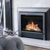 Direct Vent Insert Engine - Natural Gas - Image 7