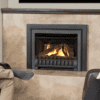 Direct Vent Insert Engine - Natural Gas - Image 9