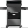 Rogue® PRO 425 SIB backside