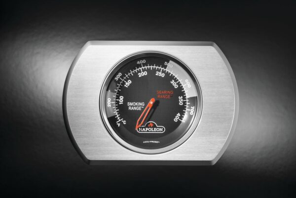 Rogue® PRO 425 SIB gauge